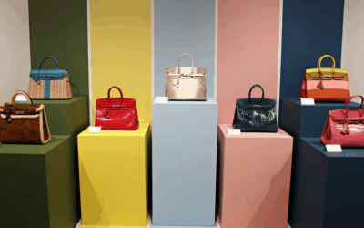 Lock and Stitch: How the Birkin Stays Out of Reach